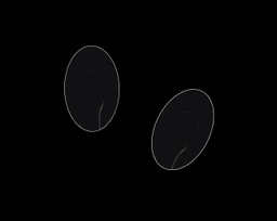 [F.PLA521] Plaqueta bayoneta tipo Silhoutte 13 mm P.V.C flexible simétrica 25 ud