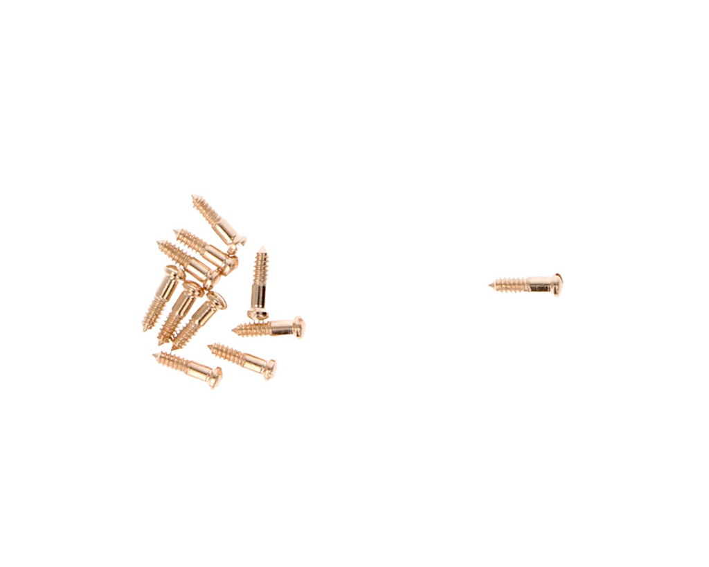 Tornillo plaqueta alpaca dorado (-) C:1.4 P:1.0 L:4.1 100 ud